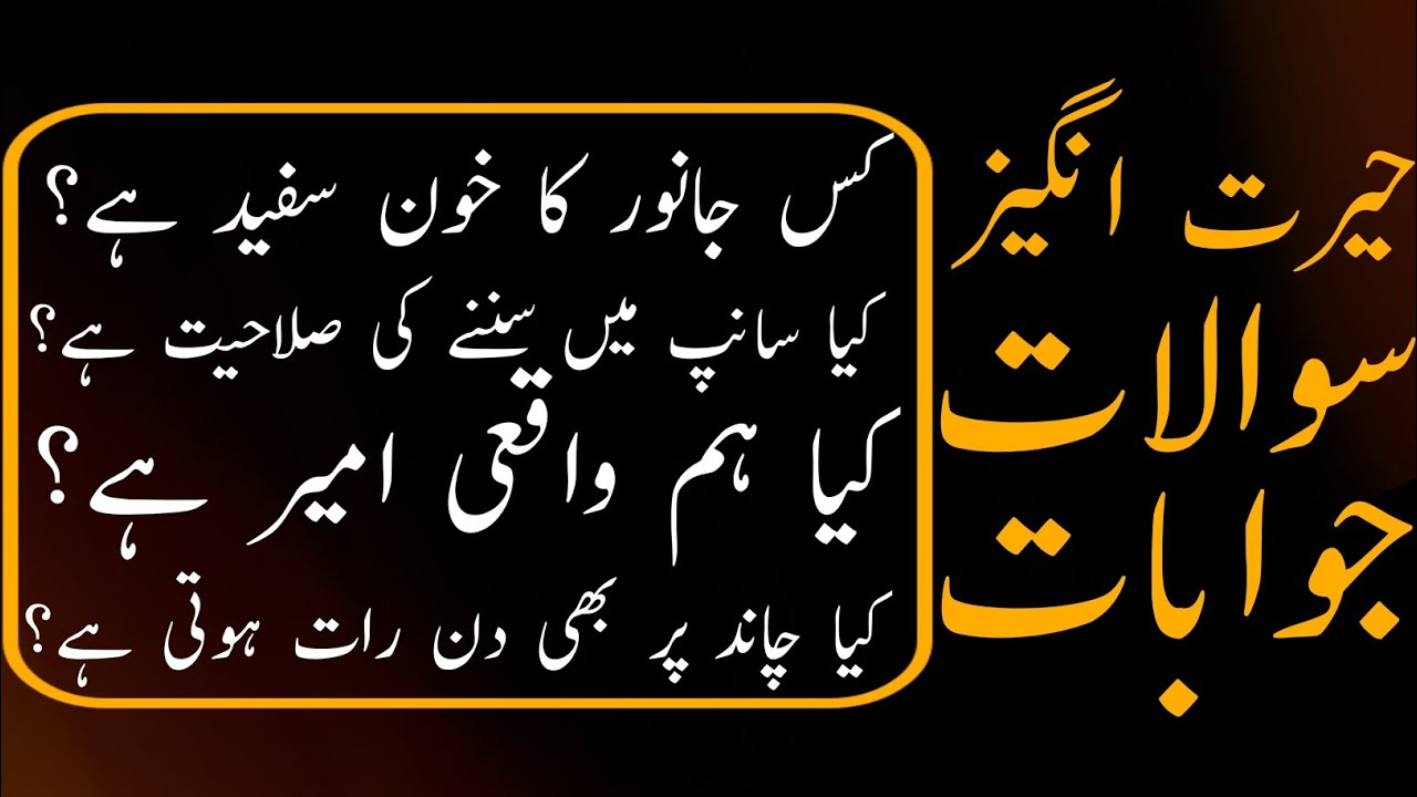 amazing question answers | Dilchasp facts | By Jawab dai