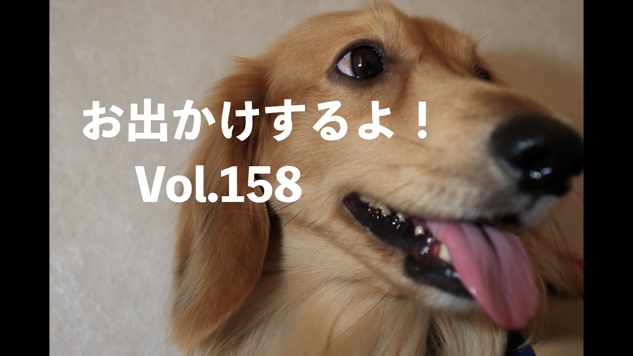 お出かけするよ！　Vol.158