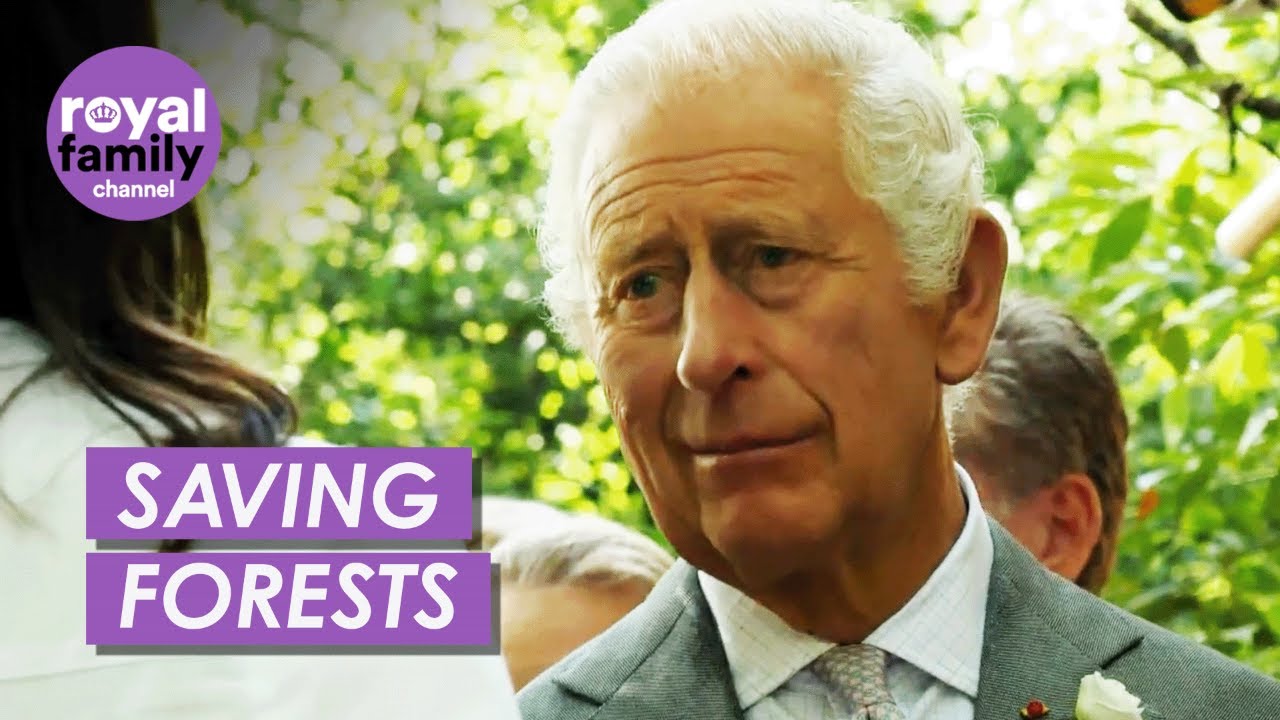 King Charles Visits 'Experimental Forest' That May Help Prevent Wildfires
