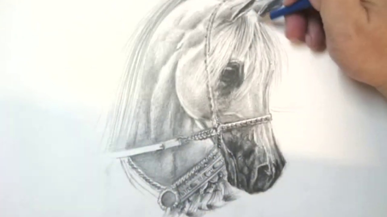 Horse drawing with pencils