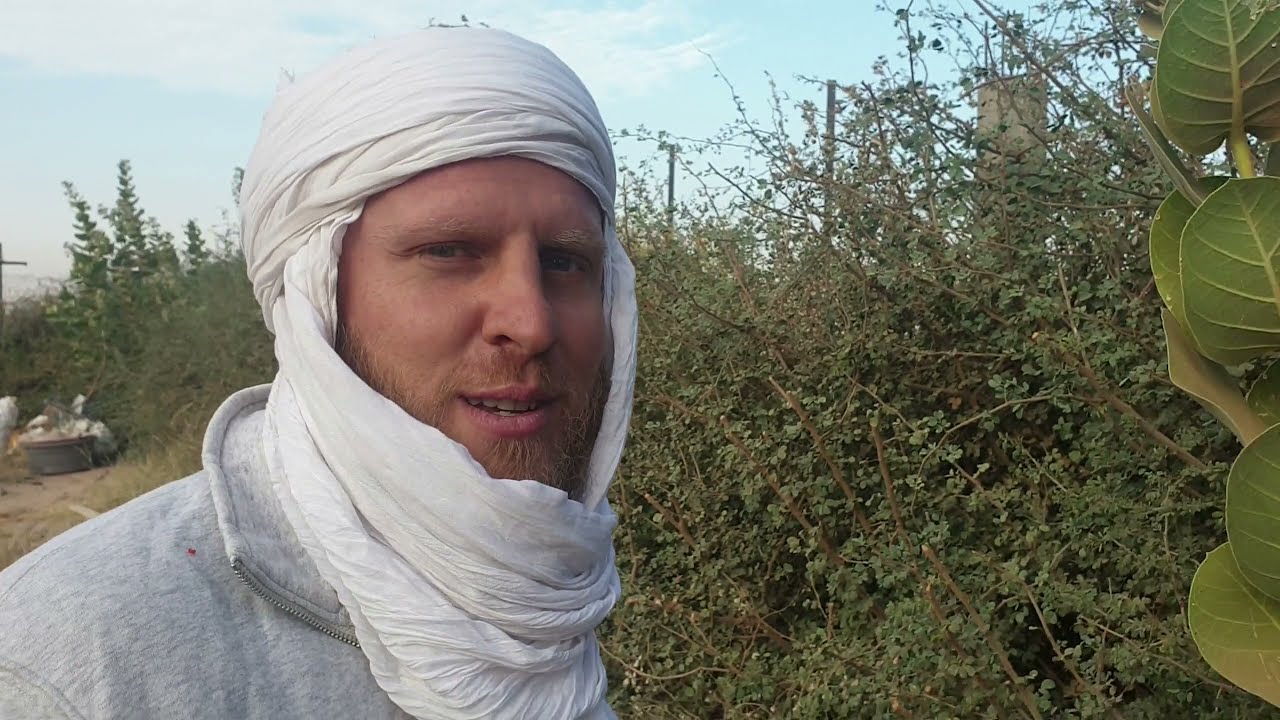 DÉCOUVRE LA MAISON ET LE JARDIN D'UN MOUHAJIR (EXPATRIÉ) EN PLEIN MILIEU DU DESERT EPISODE 8  + Zai