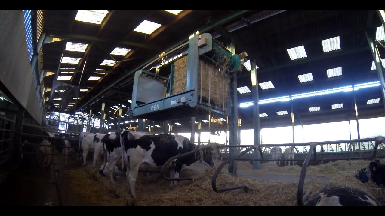 Pailleuse suspendue automatisée GEA [Gopro]