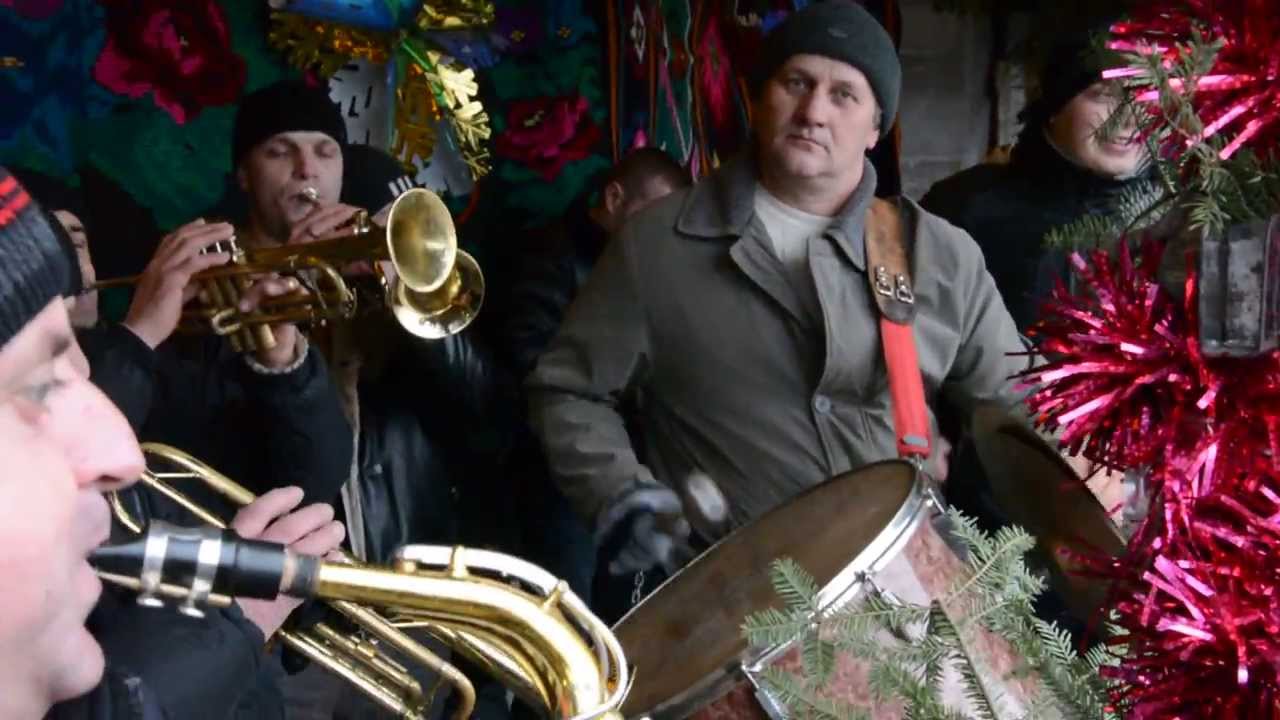 Calu din Boian 2014