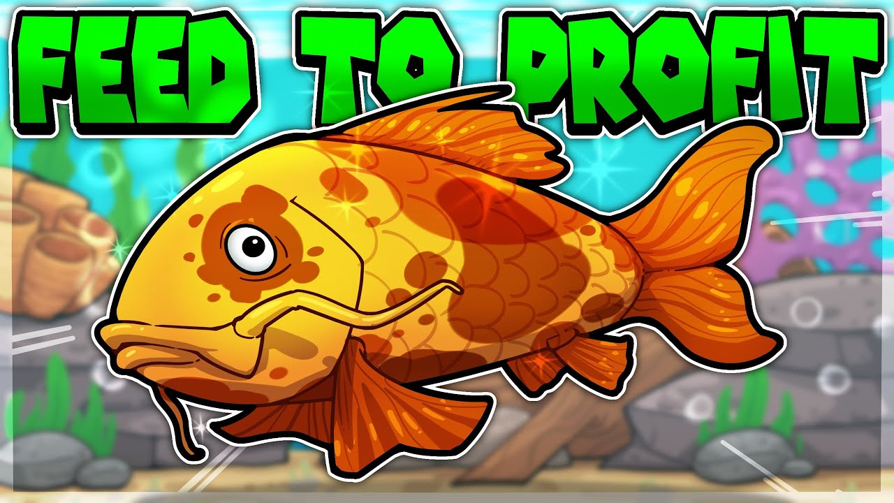 I paid my rent by raising fish