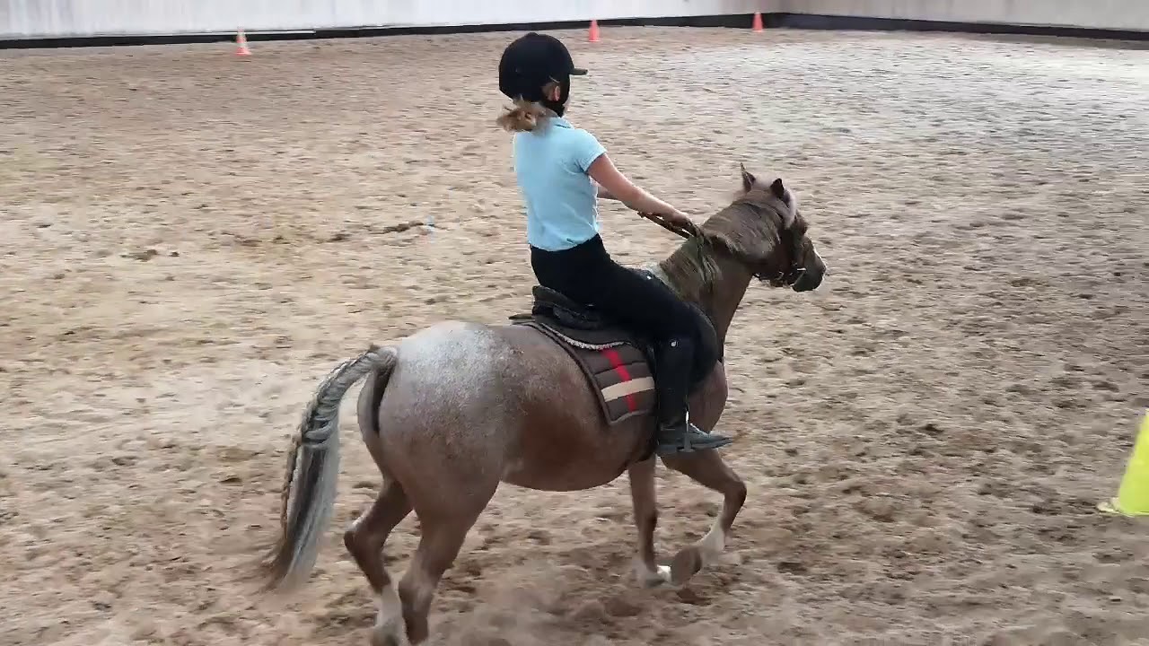 [Equitation] Une journée pour le G4