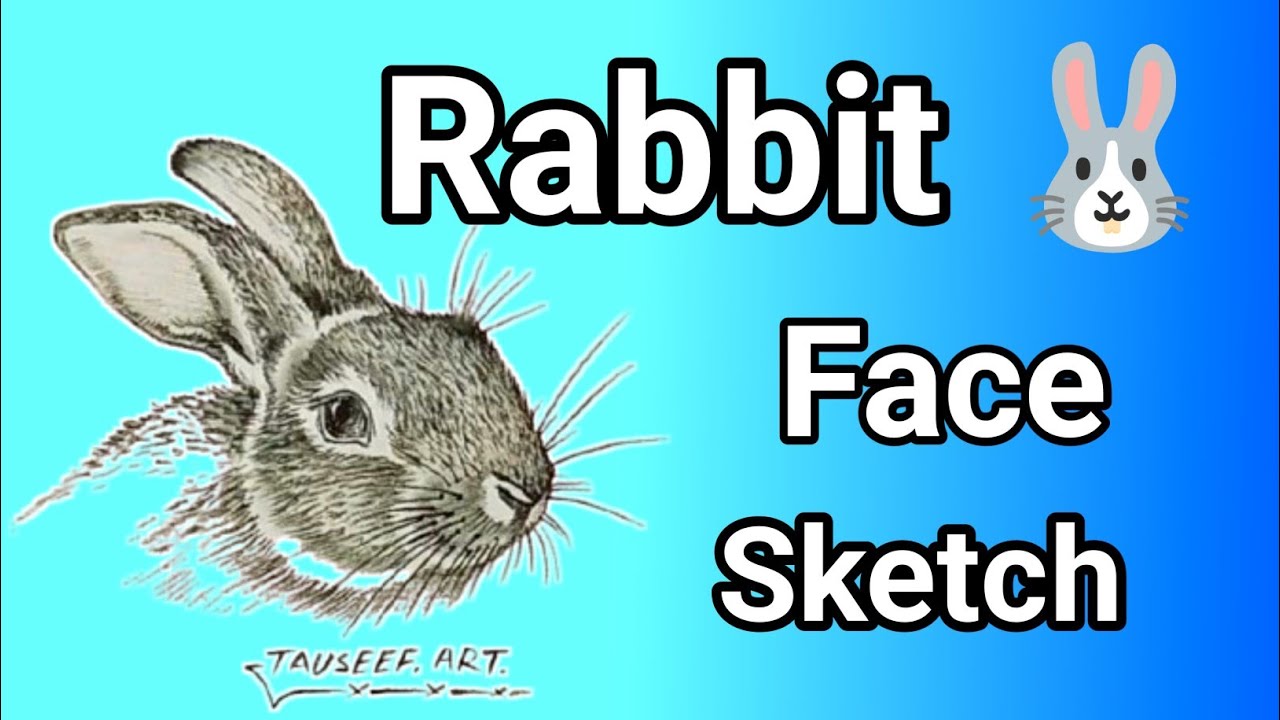 👉 Realistic Rabbit Face Drawing ✏️ | Pencil Sketch Art Step by Step