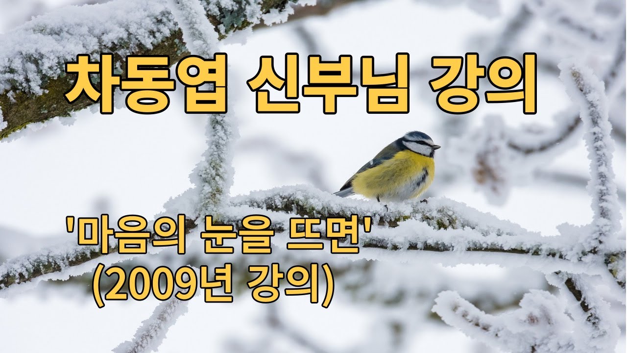 1강, 차동엽 신부님 강의-  '1강, 마음의 눈을 뜨면'--여기에 물이 (2009년 강의)