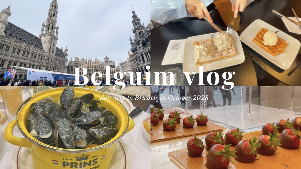 ベルギー旅行🇧🇪１日で楽しむブリュッセル🍓観光, グルメ旅🥨🍫 Thalysでパリからベルギーへ🚉