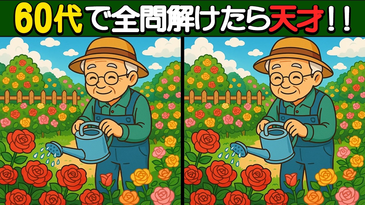 【間違い探し】60歳以上で全問解けたら天才！老化予防に最適な間違い探しクイズで脳トレ！【脳トレ】