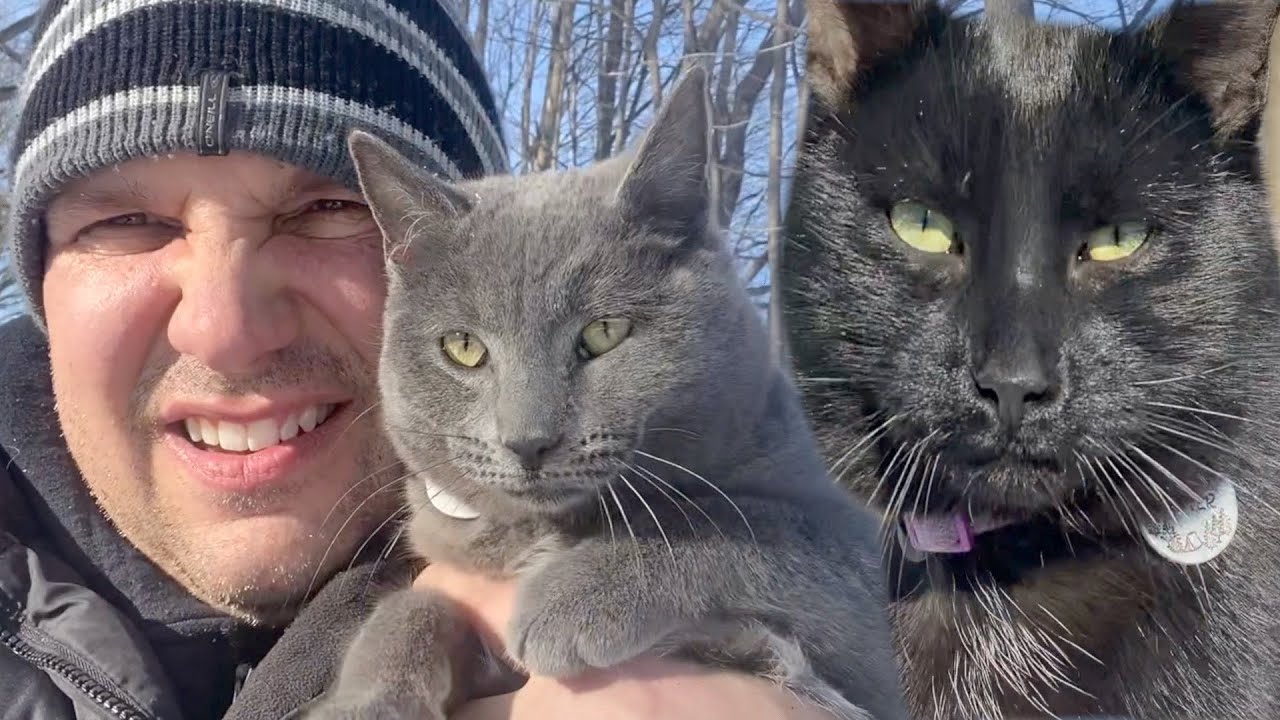 It Was Time...It Had To Be Done - BARN CAT FARM VLOG
