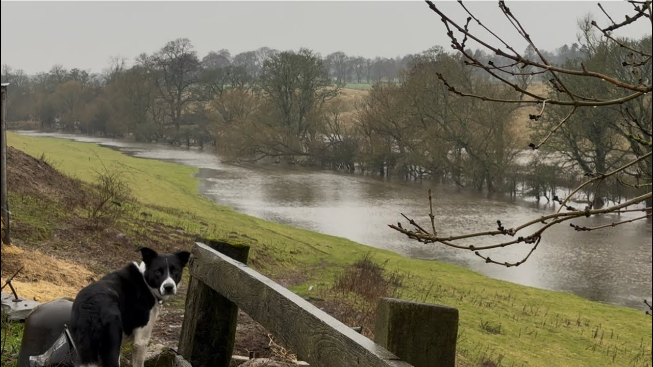 Floods again 2026
