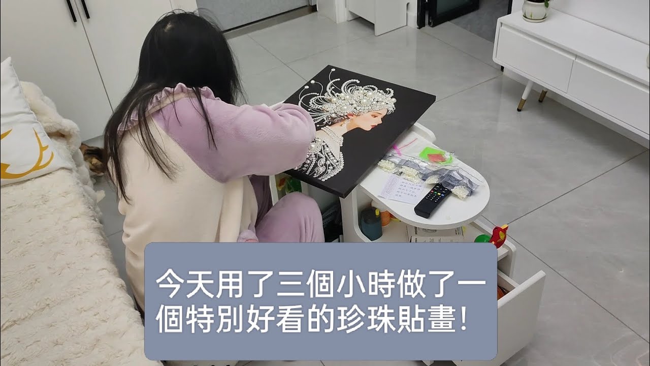 今天用了三個小時做了一個特別好看的珍珠貼畫！#日常vlog #貓咪日常 #珍珠貼畫
