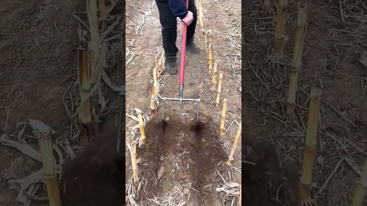 Work Smarter: 2 Tools to Revolutionize Your Yard Work! 🌾❄️