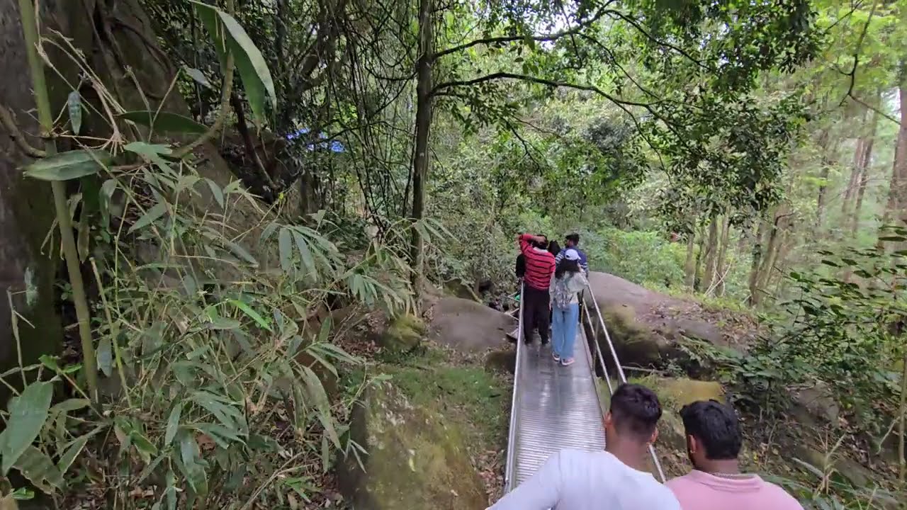 A Peaceful Escape to Wayanad | Nature, Views & Relaxing Stay