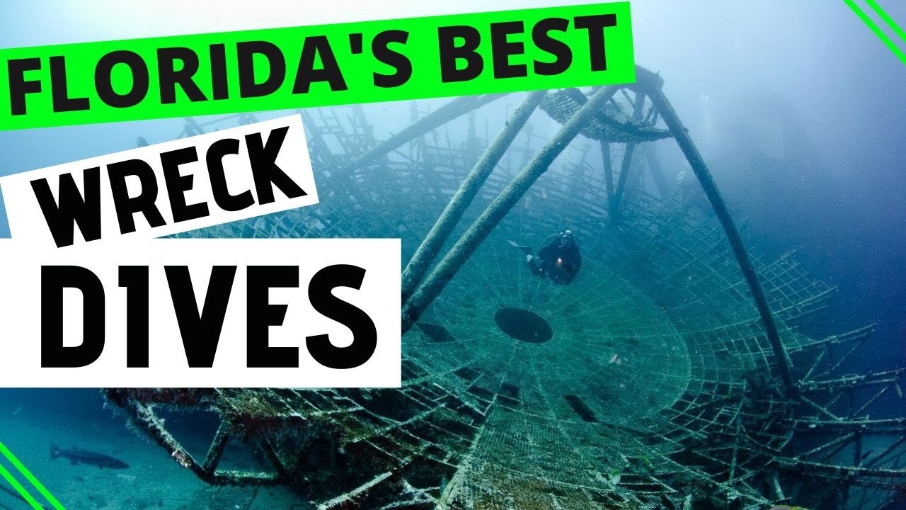Top 5 Best Wreck Dives in Florida - With Divers Ready!