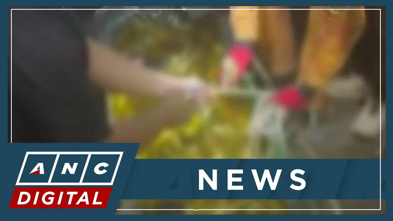 PNP forensic group: Late DPWH Usec. Cabral fell, was not pushed from cliff | ANC