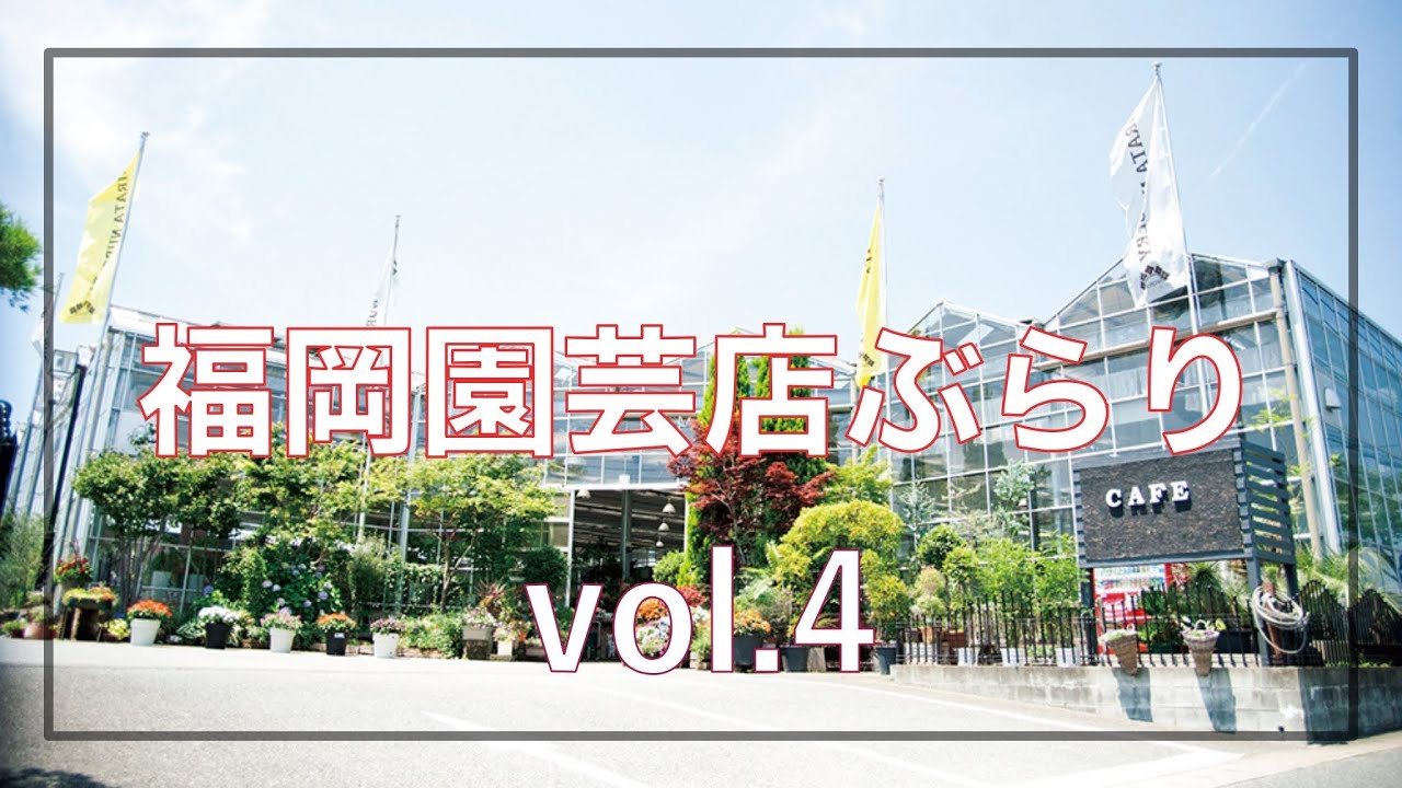 園芸ぶらりvol.4【平田ナーセリー春日店Balcone】 4K
