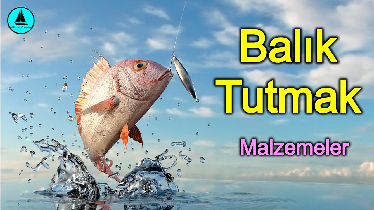 069 : Balık avı malzemeleri ; misinalar, iğneler, fırdöndüler