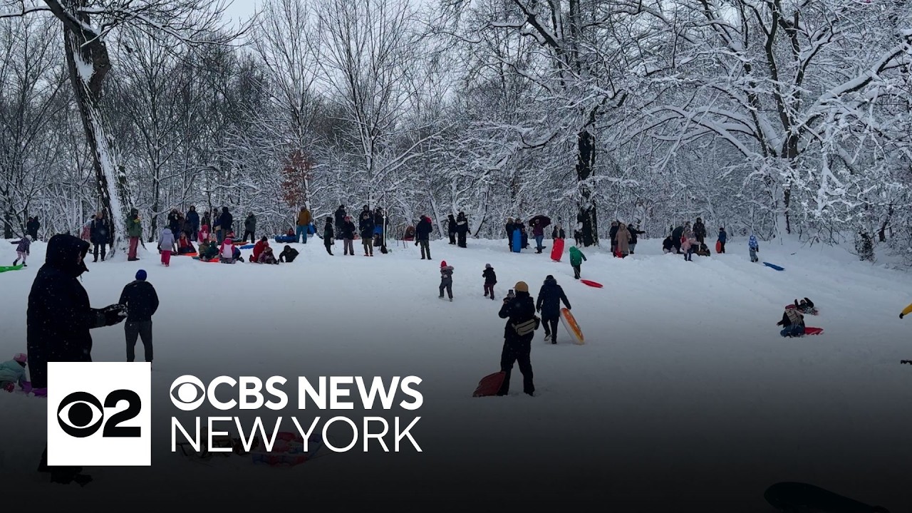 Snowstorm's impact in New York City captured in videos