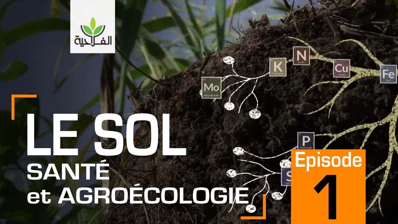 LE SOL : Santé et agroécologie  (Épisode 01)