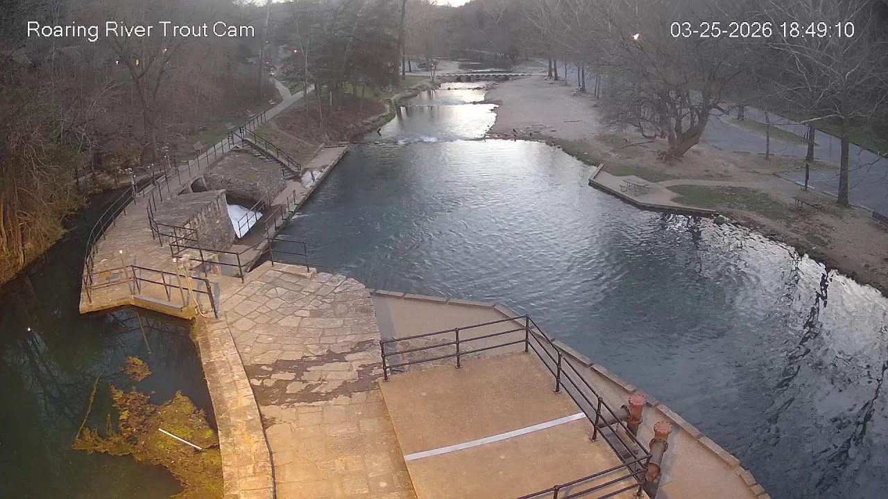 Official Roaring River - Trout Cam
