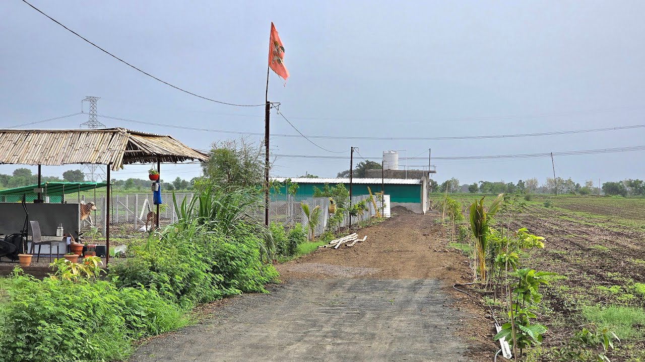 MGR Farm l Poultry l Goat l Dairy l