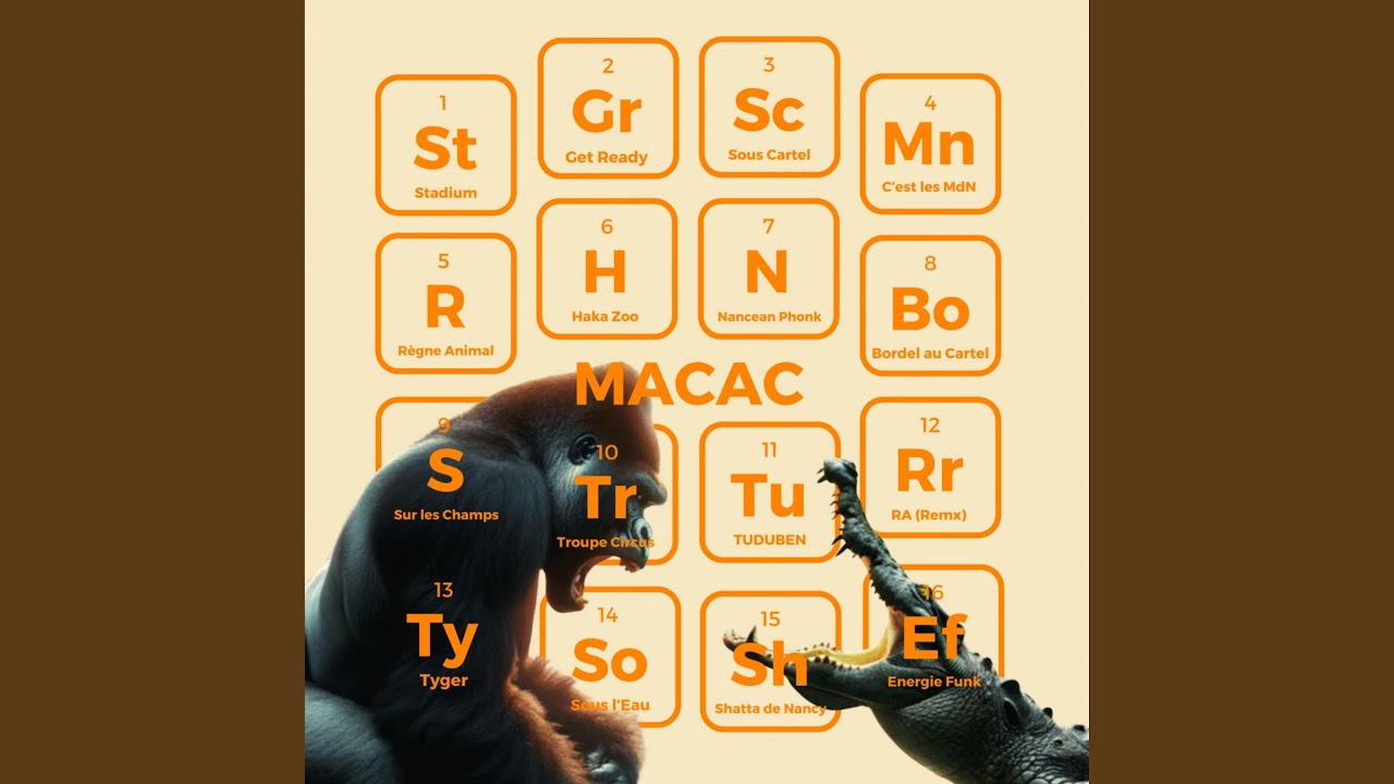 Mines Nancy Cartel 2025 - Règne Animal