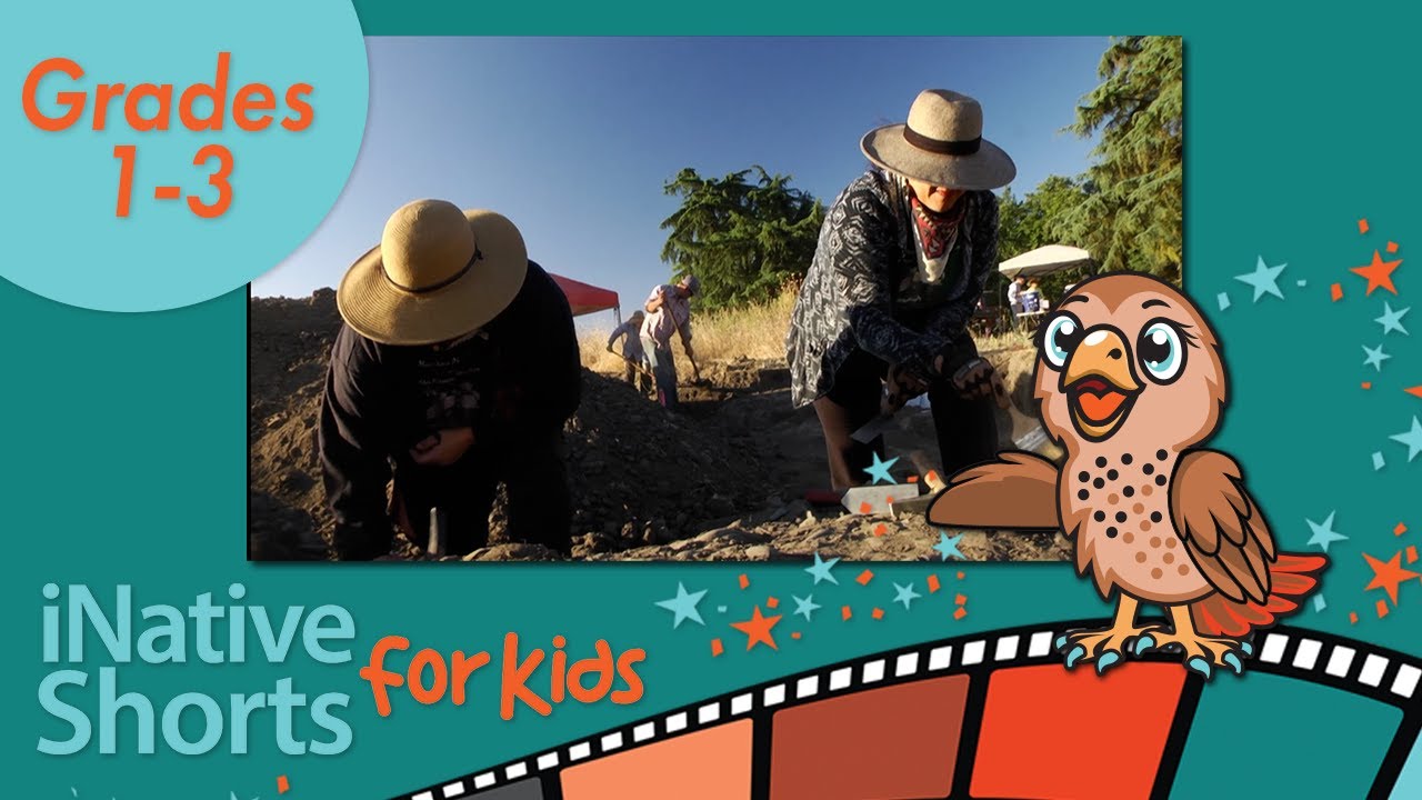Stories Hidden in Artifacts | Time Has Many Voices | iNative Shorts for Kids