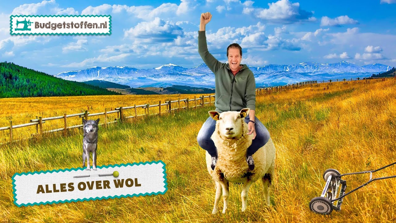 Wat is wol? | Alles over Wol | Sieb's stoffenlesje Wol