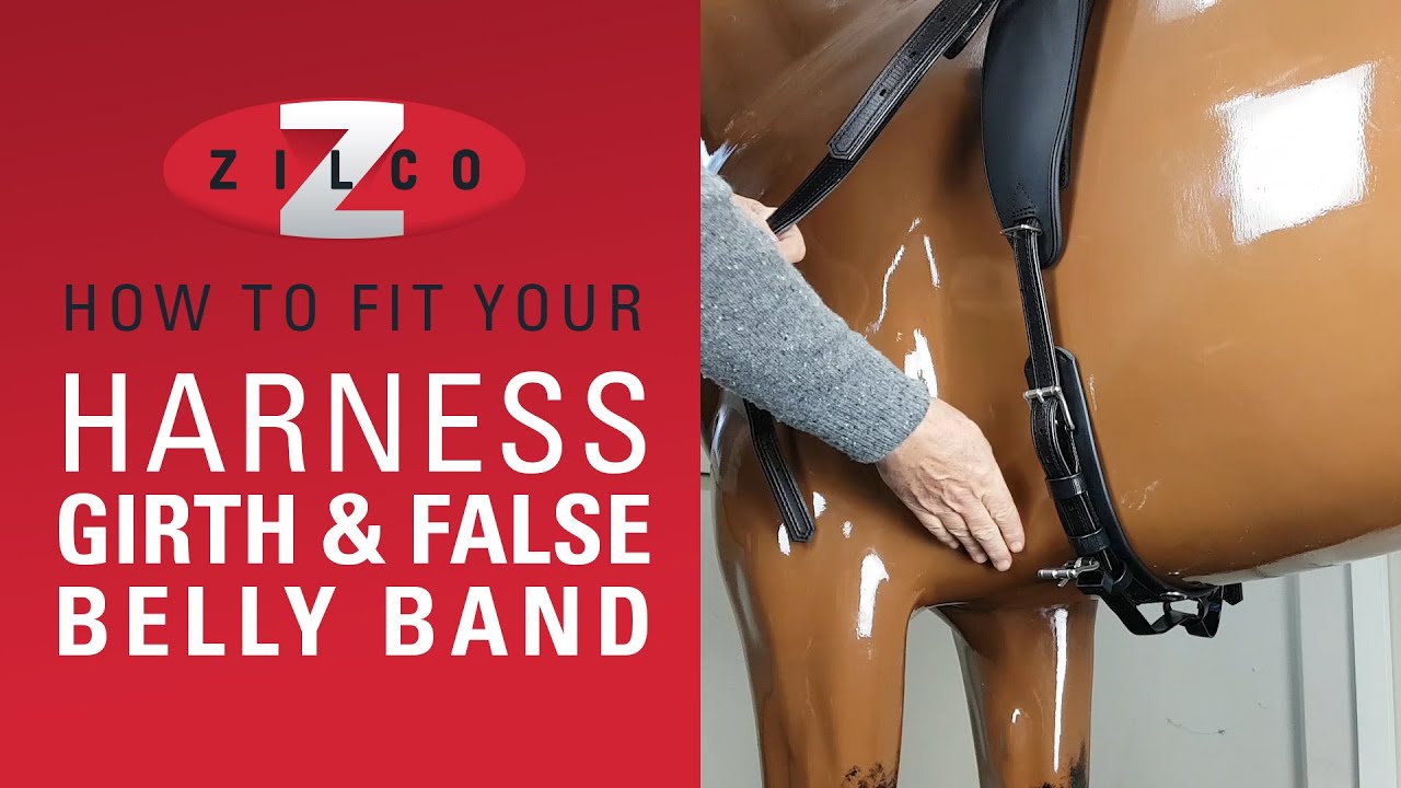 How to correctly fit your Zilco driving harness girth and false belly band