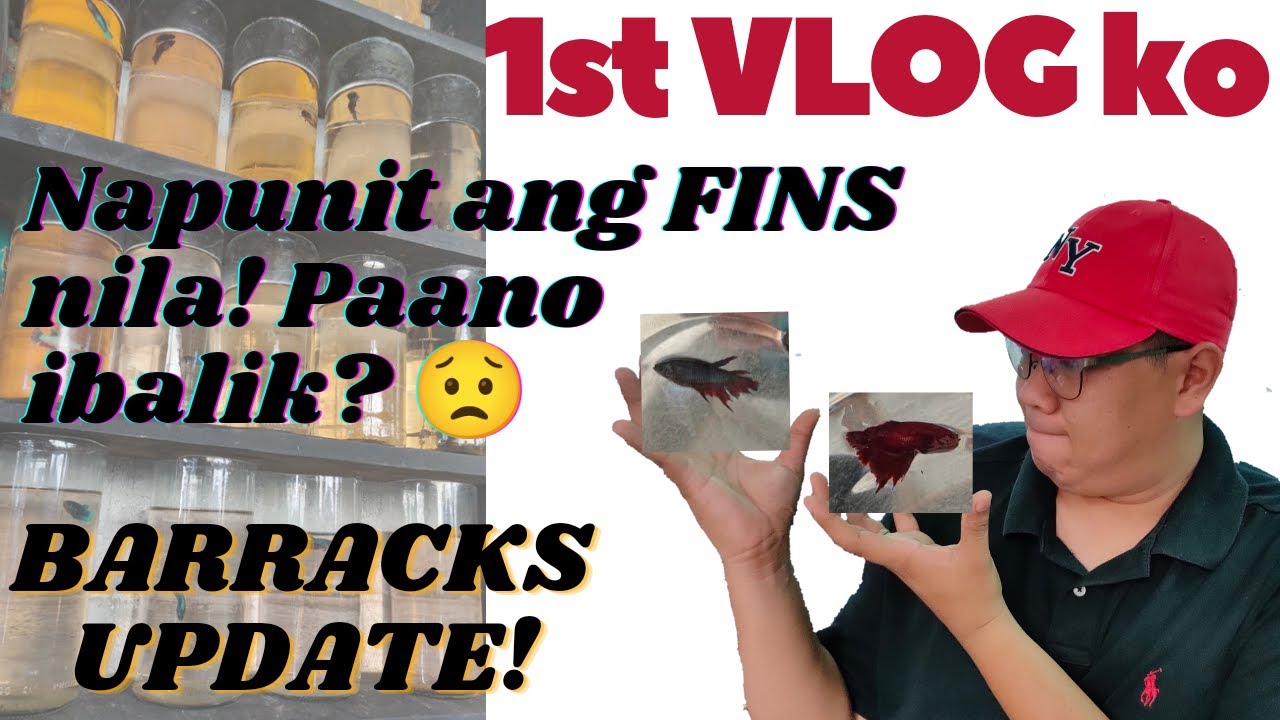 BARRACKS UPDATE NOV 6,2021(NA PUNIT NA FINS,ANO ANG GAGAGWIN KO) 1ST VLOG #Newbie #bettaDistrict
