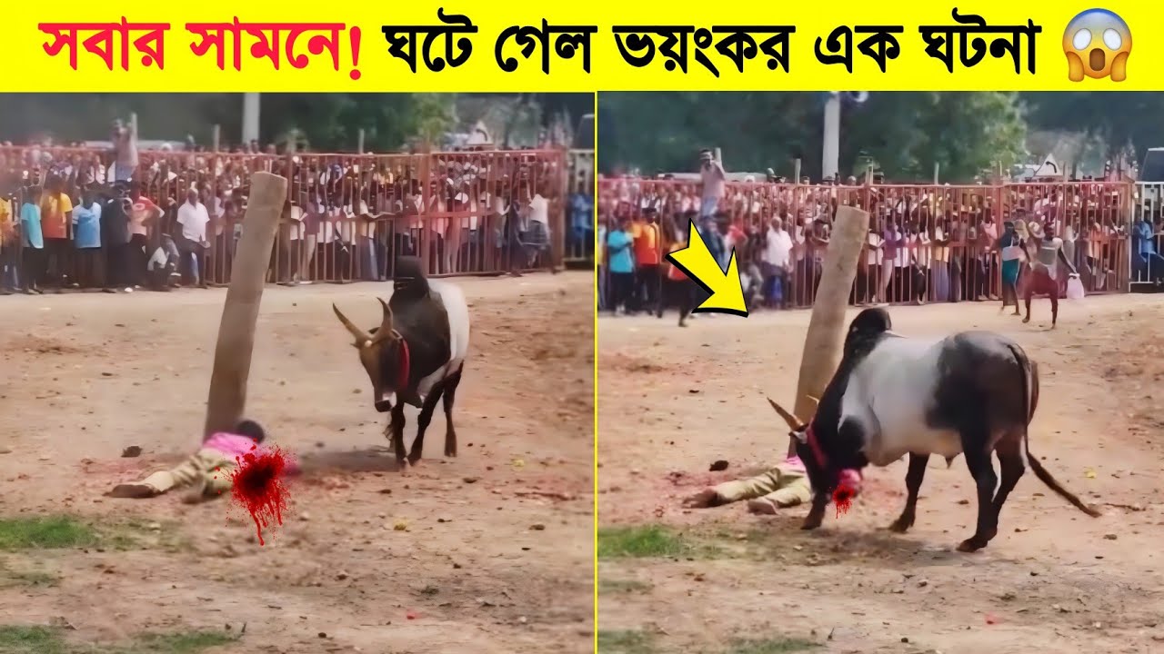 সবার চোখের সামনে ঘটে গেল ভয়ংকর এক ঘটনা 😱| Shocking Things Caught On Camera | Mayajaal | Noman's Show