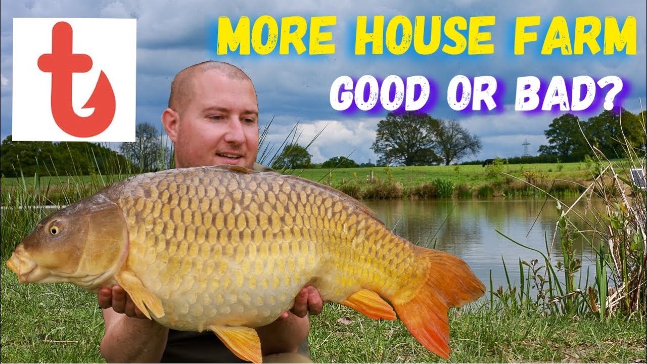 MORE HOUSE FARM fishery | @gocatchfish  | #fishingvideo #carpfishing