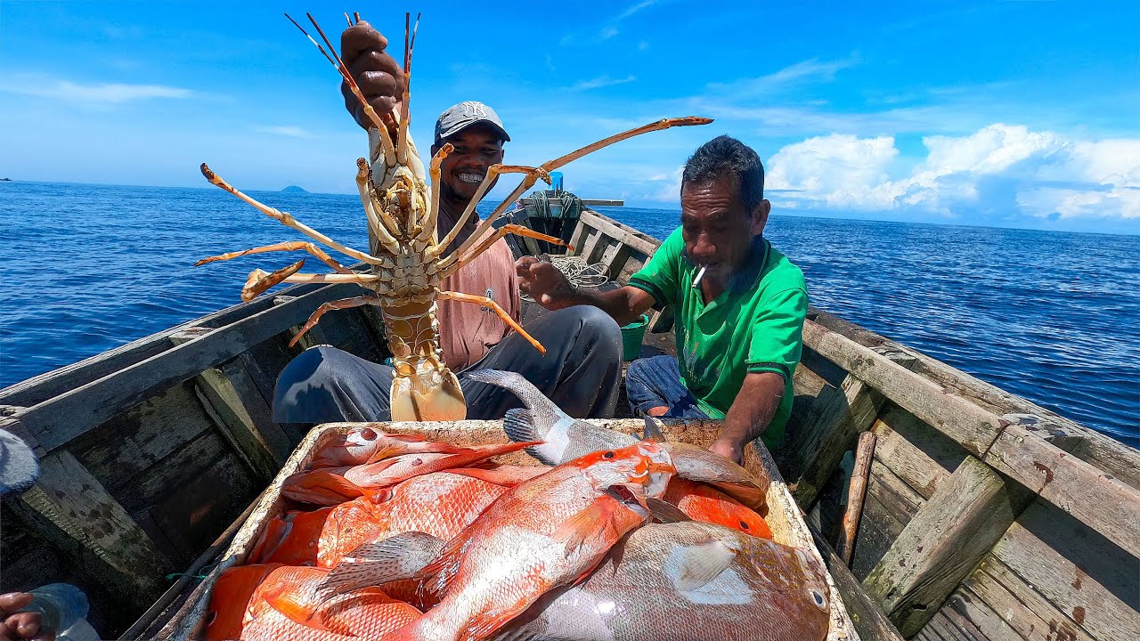 Serunya Angkat Perangkap Ikan | Proses penangkapan ikan
