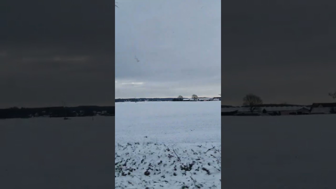 رحلة هادئة وسط شوارع ألمانيا المغطاة بالثلج ❄️🚌