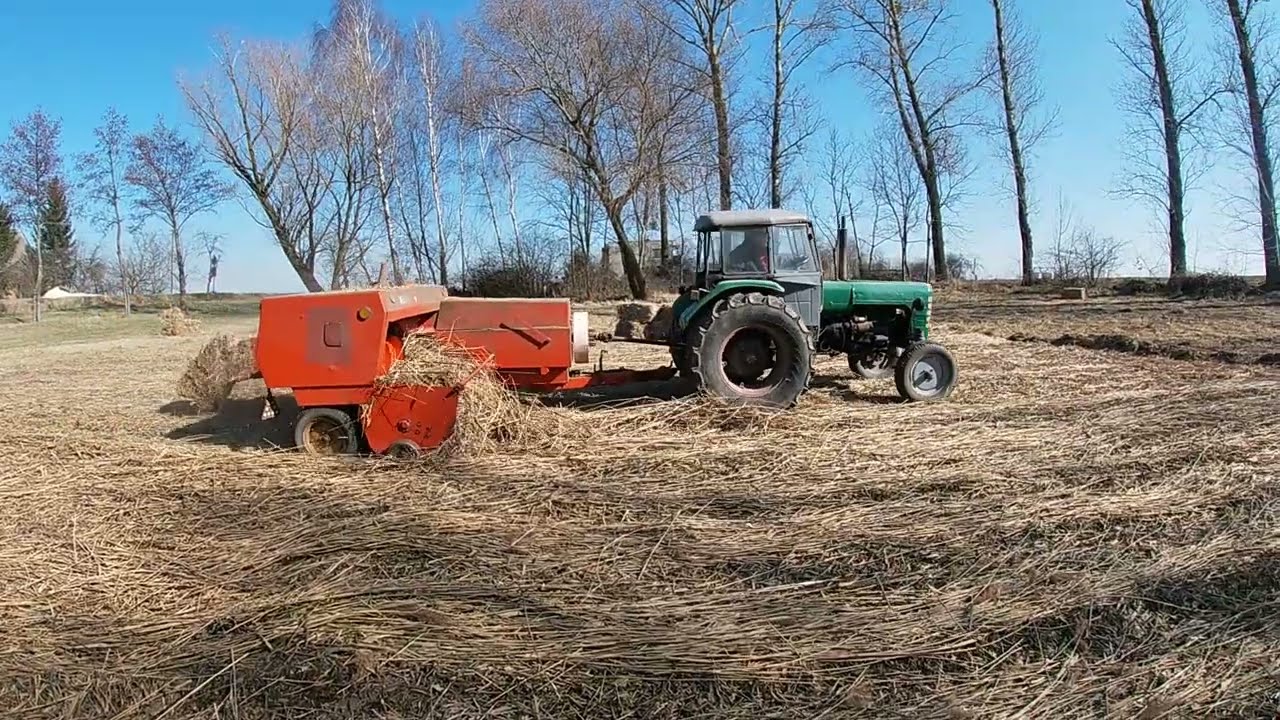 🚜Prasowanie siana w Marcu 2025 | Ursus c-4011 i prasa Sipma z-224 w akcji ✔