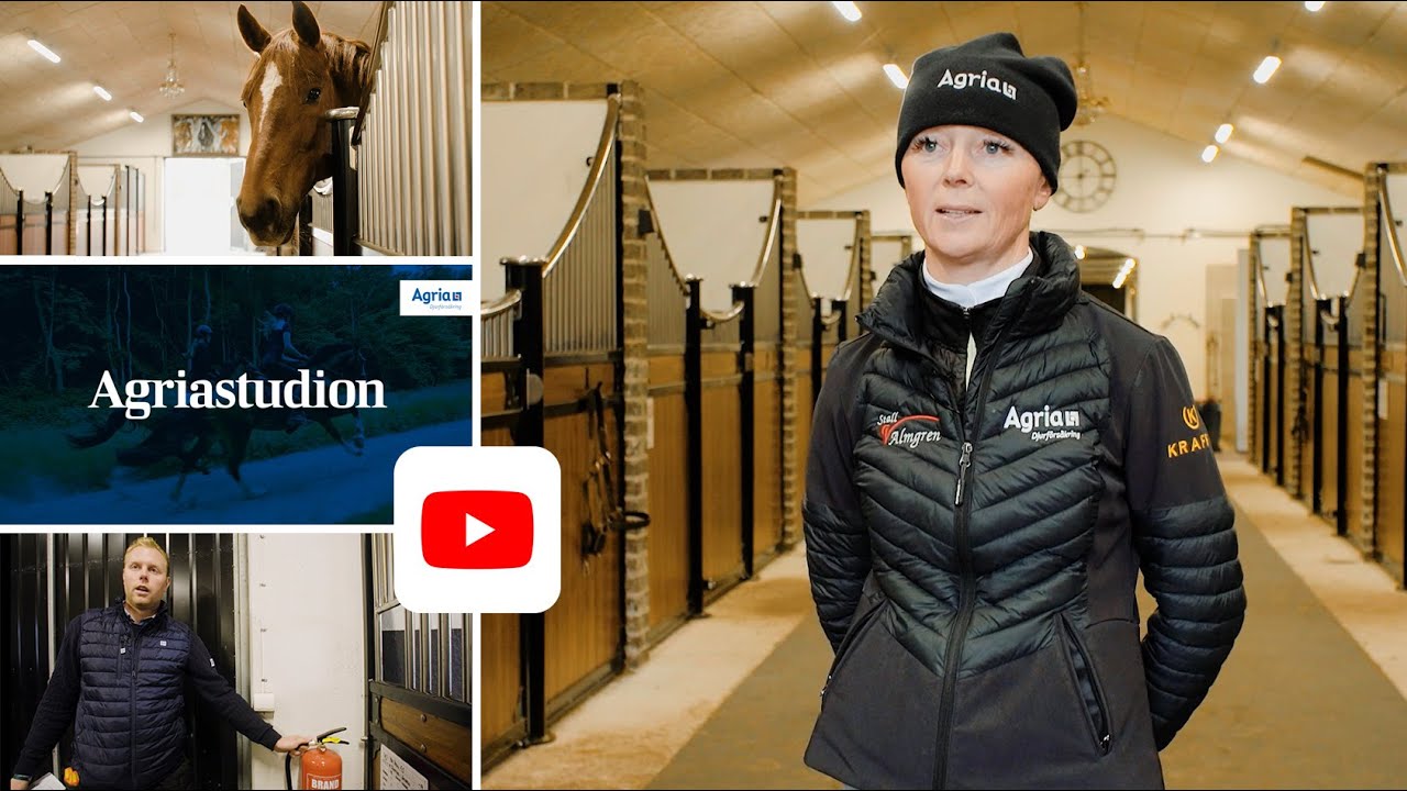 Se Agriastudion &ndash; med tips om hur du g&ouml;r stallet s&auml;krare och tryggare f&ouml;r h&auml;starna