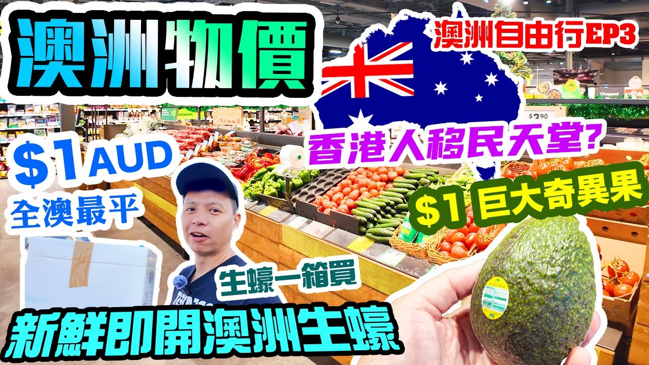 【澳洲自由行 2024 】🇦🇺香港人移民首選？ | 💸生活日常超市用品大搜購 $1/隻 全澳最平即開生蠔｜免費近距離觀看野生海獅 | 澳洲自駕遊 悉尼 墨爾本 塔斯曼尼亞 EP3