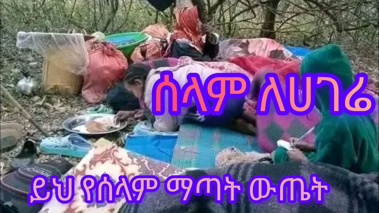 ይህ የሰላም ማጣት ውጤት ነው ሰላም ለሀገሬ