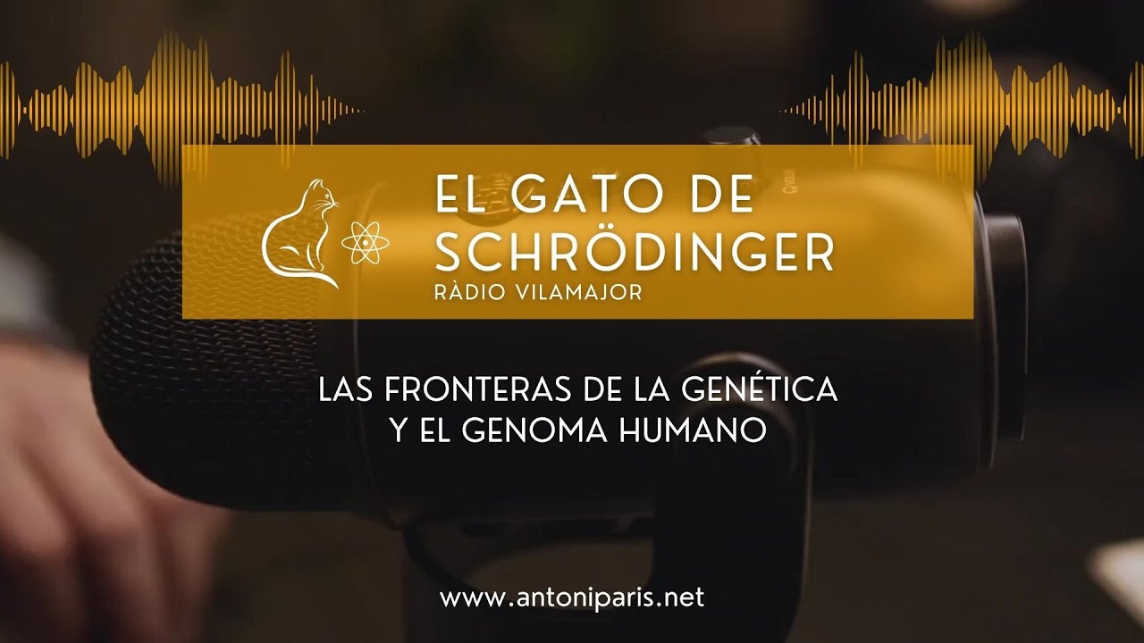 Las fronteras de la genética y el genoma humano | Dra. Gemma Marfany, catedrática de genética UB