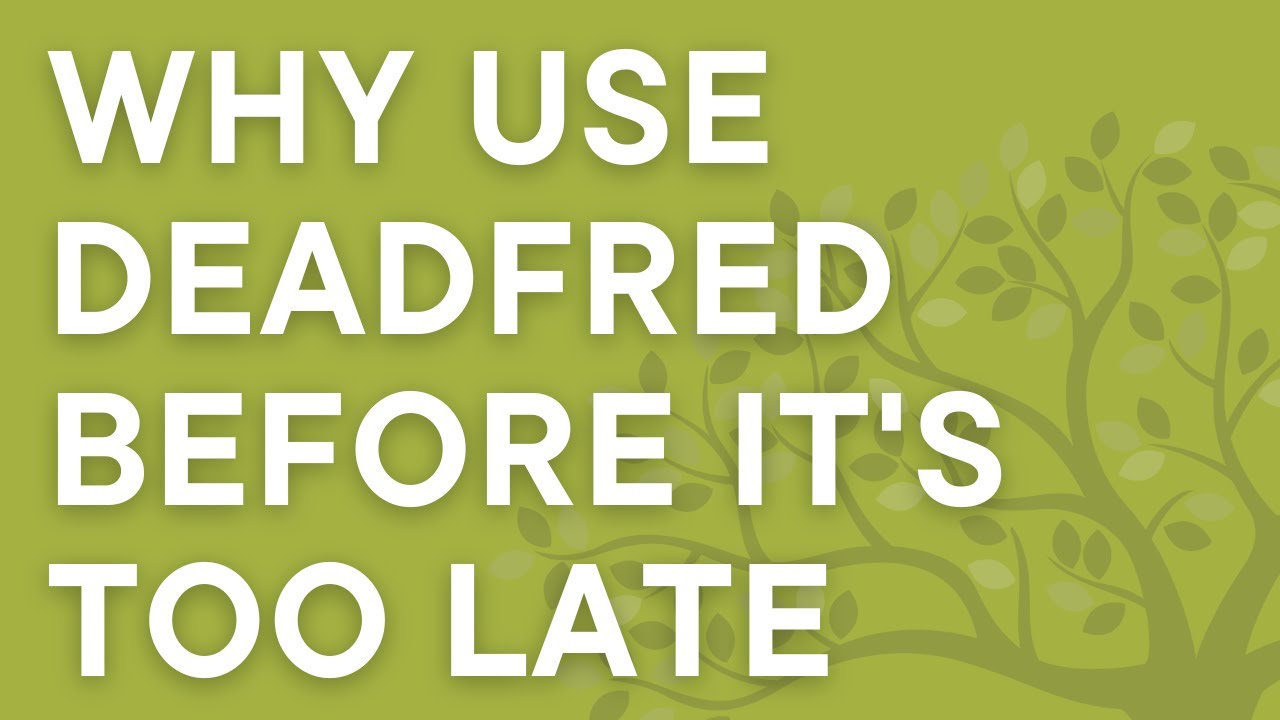 Use DeadFred for your ancestry photo collection ... before it's too late