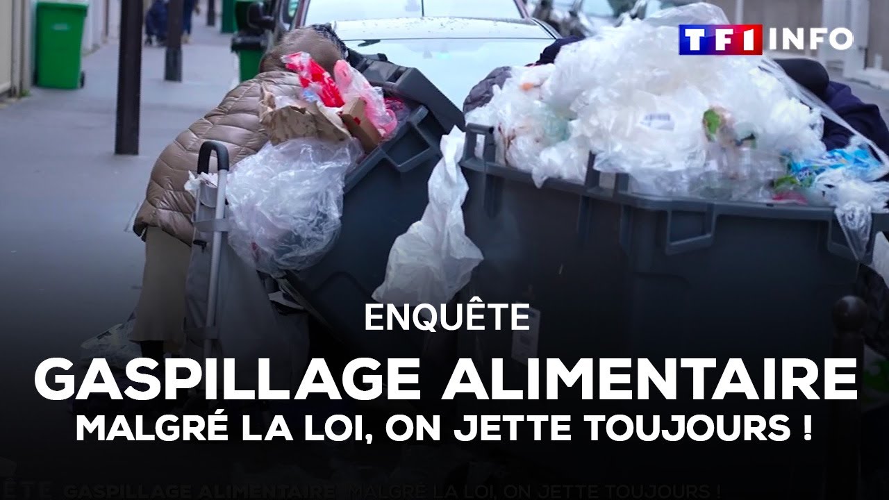 Gaspillage alimentaire : malgré la loi, on jette toujours !  ｜TF1 INFO