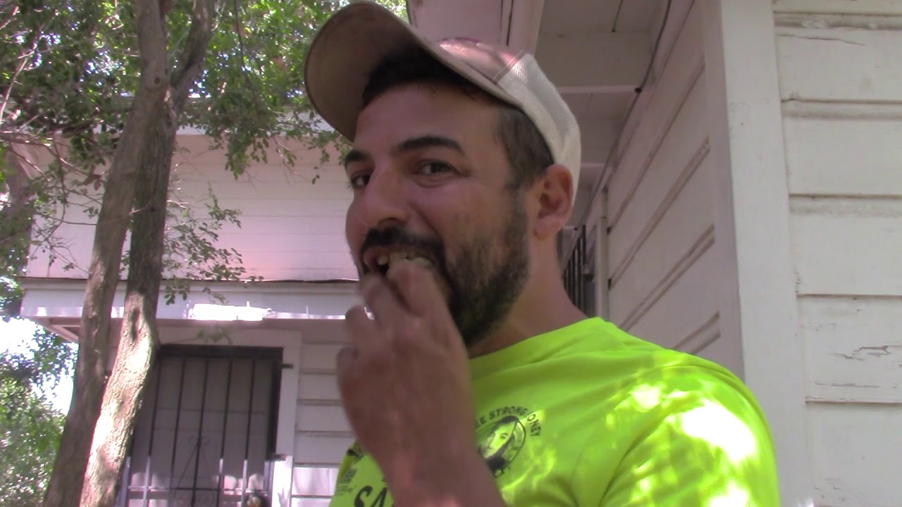 Exposed Beehive removal by Luis Slayton of Bee Strong Honey