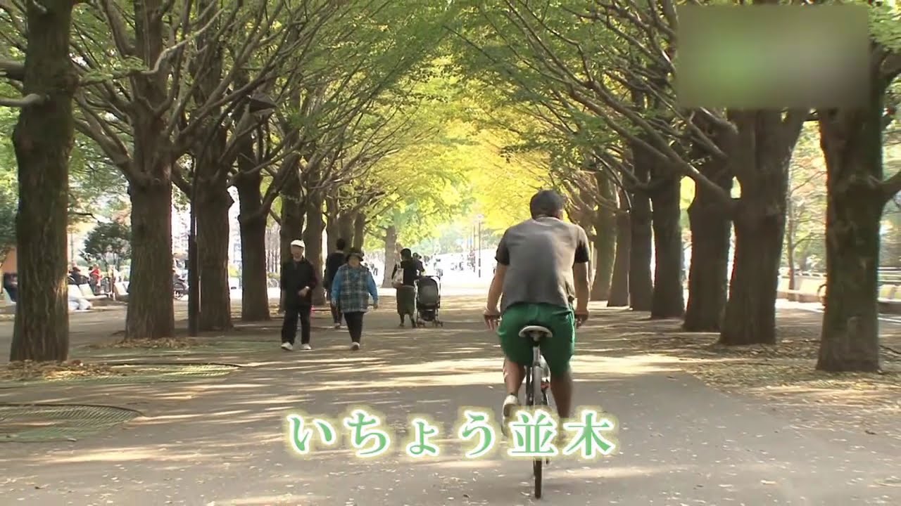 光が丘公園 - 地域情報動画サイト　街ログ
