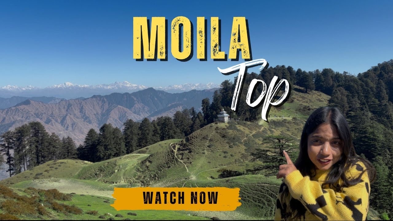 Moila Top In Chakrata | hidden Place In Dehradun | Dehradun #mohilatop #dehradun #chakrata #hidden 