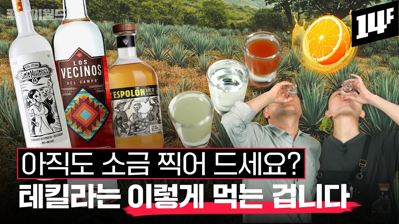 🍸테킬라, 이거랑 먹으면 밤새 먹는다.. 멕시코 술 테킬라와 메즈칼, 100% 제대로 즐기는 법 | 주락이월드 / 14F