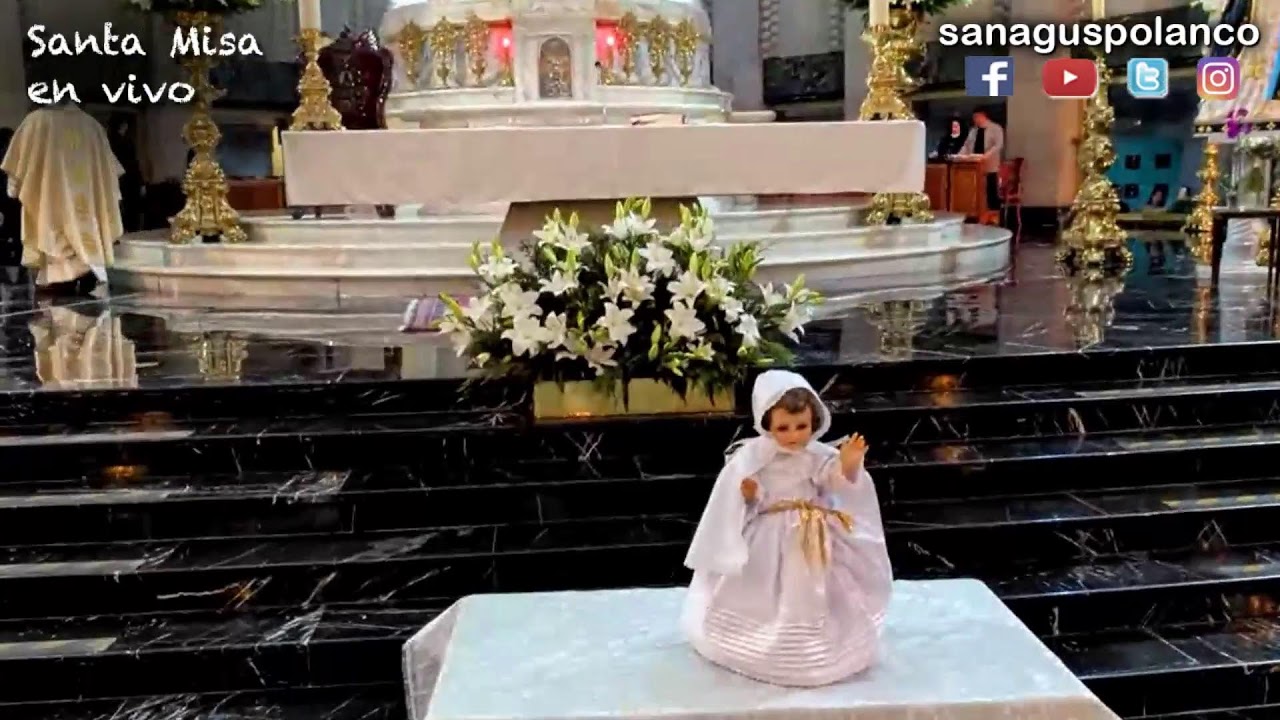 Santa Misa en vivo: La Presentación del Señor (lunes 02 de Febrero, 2026).