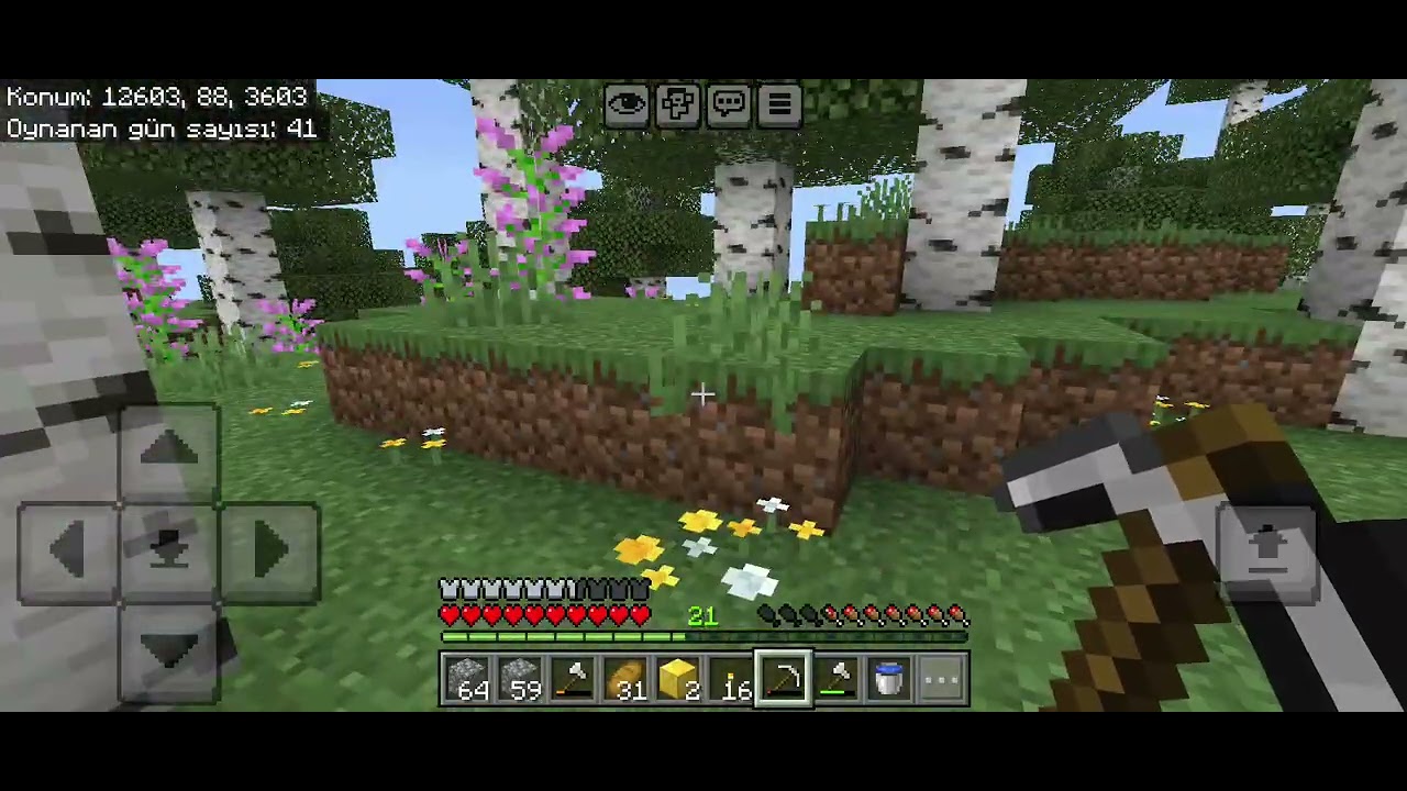 Minecraft haşereye karşı hayatta kalma pt 10