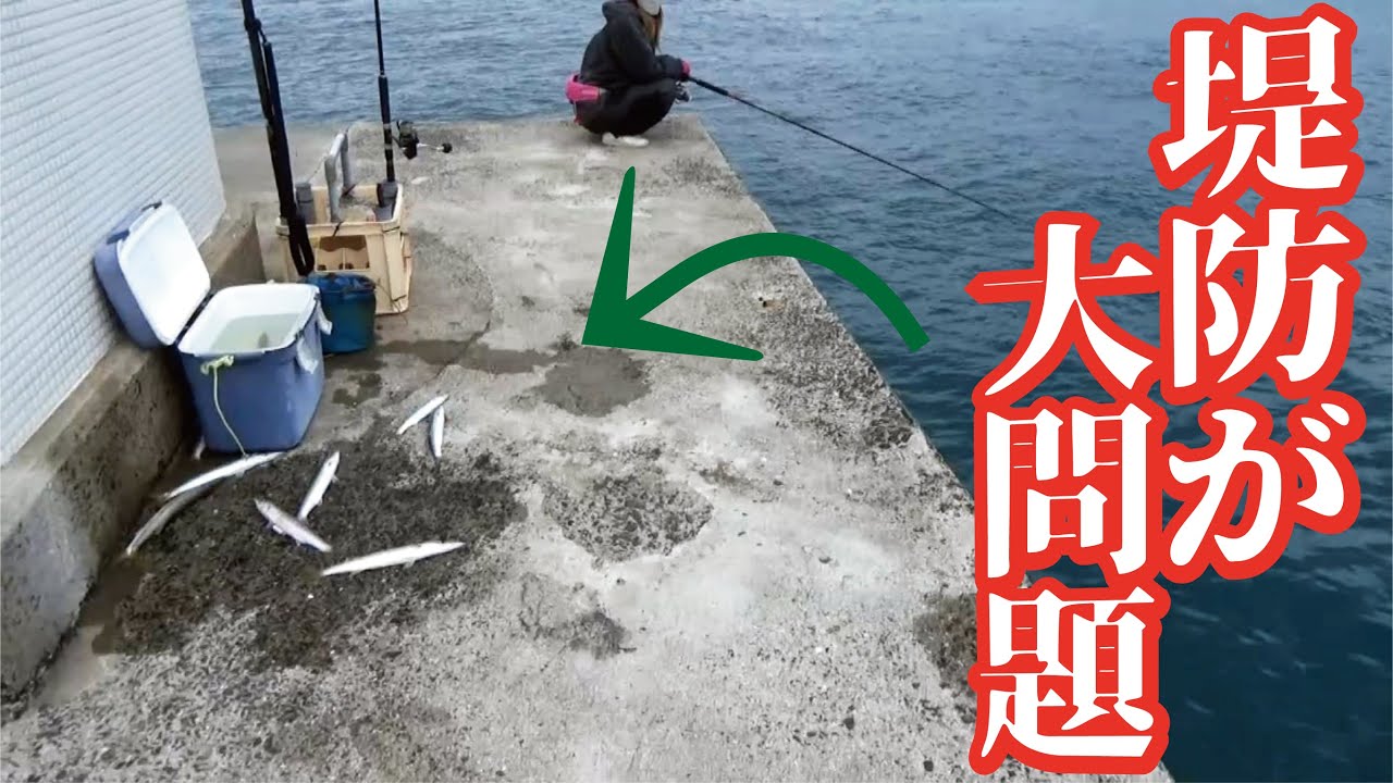 大晦日の堤防が大問題！年始を迎え泳がせ釣りをしていた全員が怒涛の生物に騒然となった