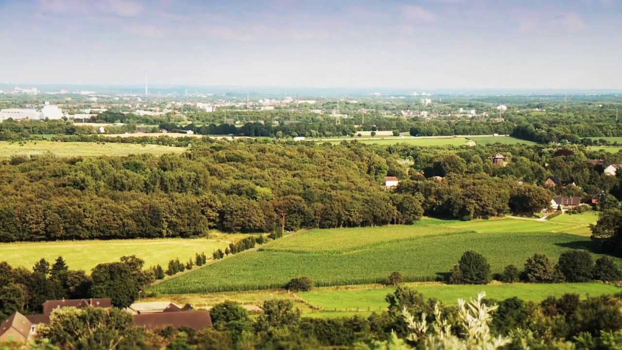 Neukirchen-Vluyn